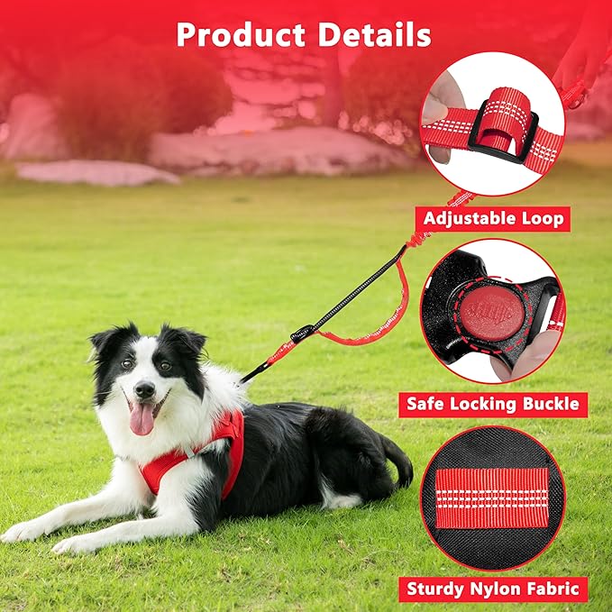 Hands Free Dog Leash with Zipper Pouch, Running Waist Leash for Dog Walking, Adjustable Waist Belt for Large Dogs, Reflective Bungee Design with Two Handle for Hiking, Training, Red