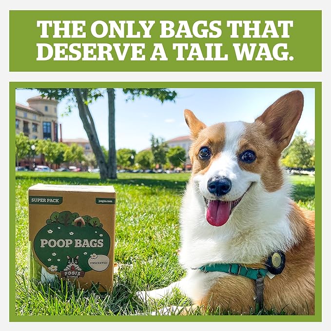 Pogi’s Dog Poop Bags with Handles – Extra-Thick, Leak-Proof, Large, Fresh Scent, 900-Count