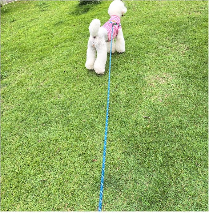 MayPaw Heavy Duty Rope Dog Leash, 3/6/8/10/12/15/20/30 FT Long Dog Lead Nylon Pet Leash, Soft Padded Handle Thick Lead Training Leashes for Large Medium Dogs (15ft * 1/2", Blue Black)