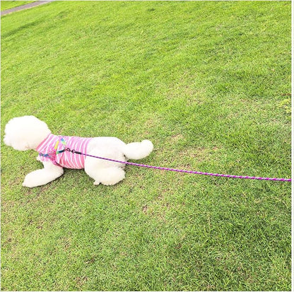 MayPaw 30ft Long Dog Leash, 6/8/10/15/20/30 FT Dog Lead Recall Training, Soft Padded Handle Thick Nylon Rope Leash for Large Medium Dogs Pets (30ft * 1/2", Purple)