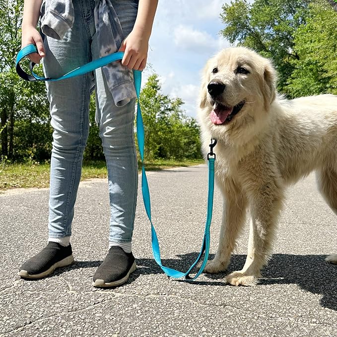 Joytale Dog Leash Heavy Duty for Large Dogs that Pull, Double Handle for Traffic Control, Double-Sided Reflective Leashes for Large Medium Dogs Night Safety, 6FT, Aqua Blue
