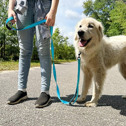 Joytale Dog Leash Heavy Duty for Large Dogs that Pull, Double Handle for Traffic Control, Double-Sided Reflective Leashes for Large Medium Dogs Night Safety, 6FT, Aqua Blue