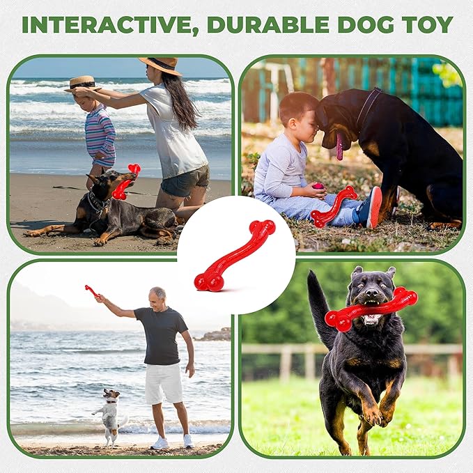 SPOT Play Strong S Bone - Durable TPR, Long Lasting Dog Chew for Aggressive Chewers, Hollow Center to Hide Treats, Virtually Indestructible Toy for Large Dogs & Puppies up to 90lbs - 12 inch