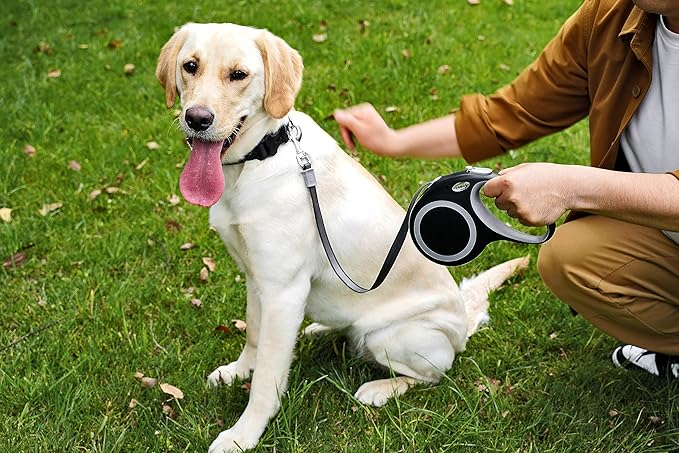 Retractable Dog Leash, 26 Feet Dog Leash for Small to Large Dogs up to 110lbs,Heavy Duty Design with Anti-Slip Handle, One-Handed Quick-Lock Braking System.