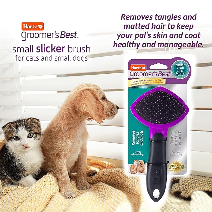 Hartz Groomer's Best Small Slicker Brush for Cats and Small Dogs, Black/Violet, 1 Count (Pack of 2)