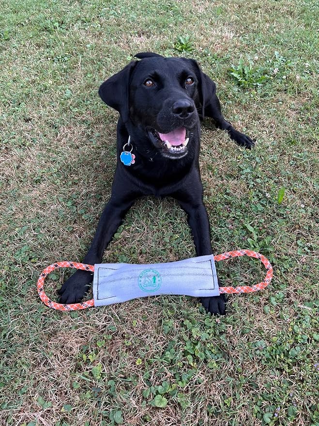 Rock-N-Rescue Hound Hose Firehose Dog Toy - Interactive Training Tug Rope from Durable Recycled Fire Hose. Indoor Outdoor Fetch Toy, Large with Rescue Rope Handles