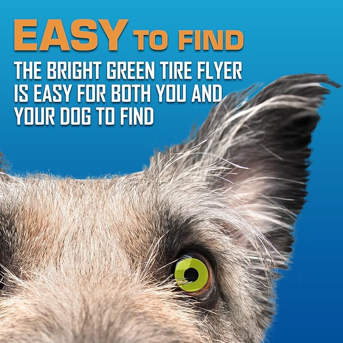 Nerf Dog Atomic Flyer Outdoor Dog Toy, 10 Inch Flying Disc Dog Fetch Toy, Rubber Dog Toy for Medium Dogs and Large Dogs, Green (Pack of 2)