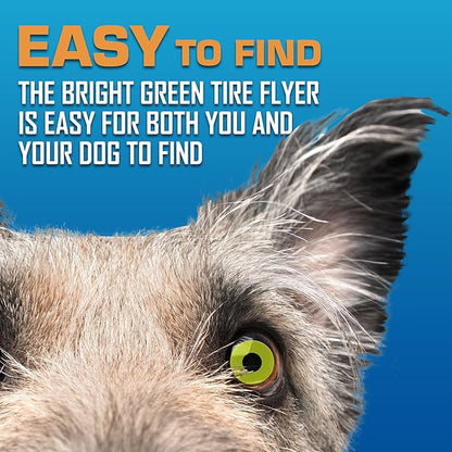 Nerf Dog Atomic Flyer Outdoor Dog Toy, 10 Inch Flying Disc Dog Fetch Toy, Rubber Dog Toy for Medium Dogs and Large Dogs, Green (Pack of 2)