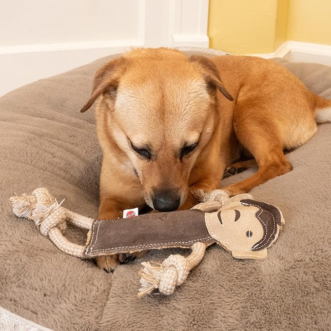 SPOT Dura-Fused Leather Jungle Animals - Dog Toy with Squeakers and Rope Limbs, Real Leather and Jute Chew Toy, Durable No-Stuffing Toy for Light to Moderate Chewers - 14in, Assorted Styles, 1 Piece