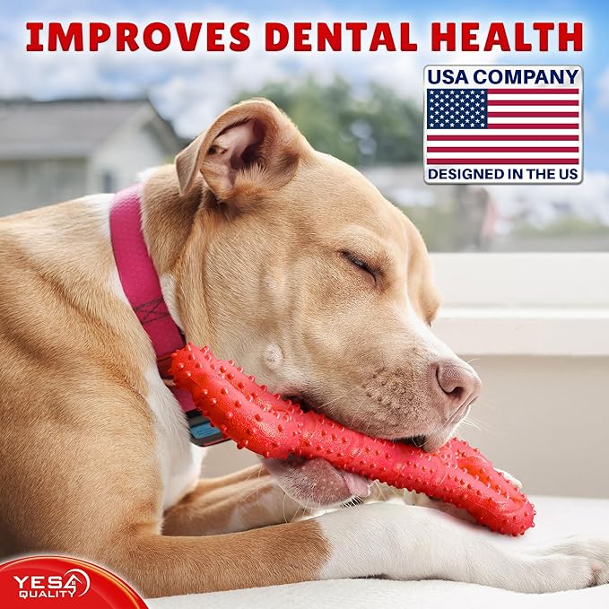 YES4QUALITY Dog Chew Toy - Durable Chew Bone for Medium and Large Dogs - 13", Red - Tough Rubber Tug of War Bone Pet Toy for Aggressive Chewers - Bumpy Design for Puppy Teething