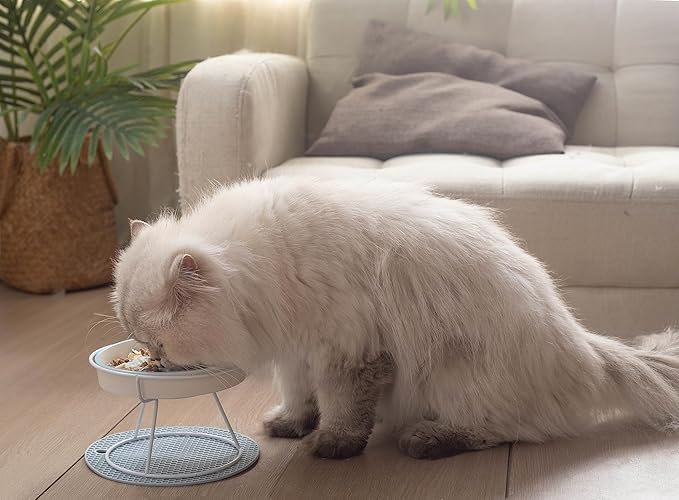 Ceramic Fish-Bone Slow Food Bowl for Cats and Dogs, Dishwasher Safe, Non-Toxic, Engaging Design, Prevents Obesity