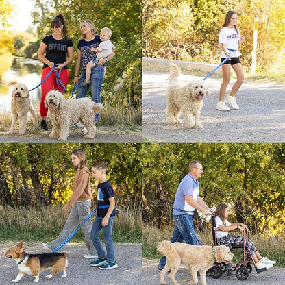 Pet Products Hands Free Dog Leash, Around The Waist, Crossbody, Solid Handle, Heavy Duty, (Blue)