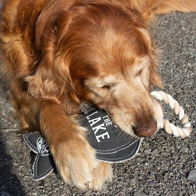 Pavilion Gift Company Lake Dog Fish 13 Inch Large Tug of War Rope Sturdy & Durable Canvas Dog Toy, Grey