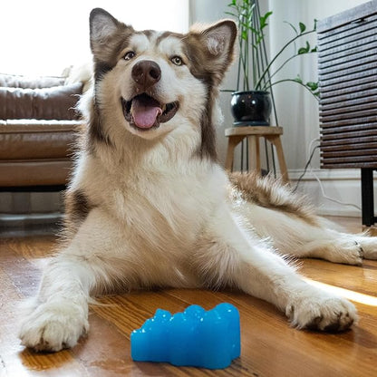 Outward Hound Gummiez Bear Dog Toy & Treat Stuffer, 4.7″ x 3″ Blue Raspberry-Scent Interactive Chew for Dogs, Promote Healthy Teeth, Gums & Mental Enrichment, Reduce Boredom & Support Dental Health