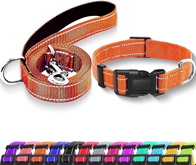 Reflective Dog Collar with Safety Locking Buckle, Adjustable Soft Breathable Nylon Collars for Small, Medium and Large Dogs(Collar+Leash S Width 5/8" Orange)