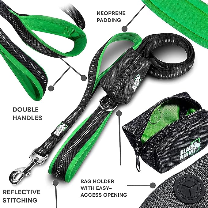 Black Rhino 6 ft Long Heavy Duty Dog Leash with Traffic Handle for Medium and Large Dogs - Padded Neoprene Dual Handles, Bag and Clip - Reflective, Durable, and Weather Resistant - Green