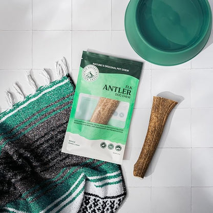 Mountain Valley Elk Antlers for Dogs - 100% Natural & Organic Chew for Aggressive Chewers, No Odor, No Mess, Long Lasting - Wild-Foraged Naturally Shed Antlers in USA - Grade A, Whole Jumbo (1 Pack)