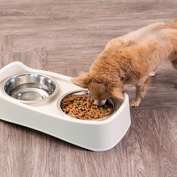 IRIS USA Adjustable Elevated Dog Bowls, Raised Feeder with 2 Stainless Steel 64 oz Bowls, Spill-Guard Rim, 12.25" or 4.63" Heights, Durable Plastic, Made in USA, Almond