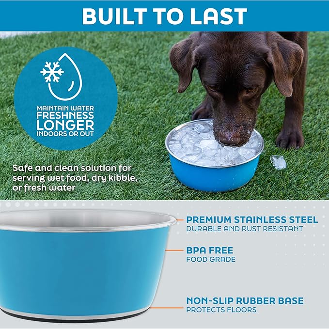 Master Pet Supply Stainless Steel Dog Bowls Set of 2 (32 Oz Each) with Non-Slip Rubber Base - Mango Tango - Basic Dog Food Bowl Water & Food Bowls for Small Medium Large Dogs & Cats, Metal Dish
