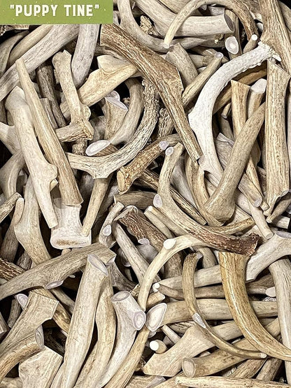 Premium Deer Antler Chew Toys (Medium) Puppy Tine