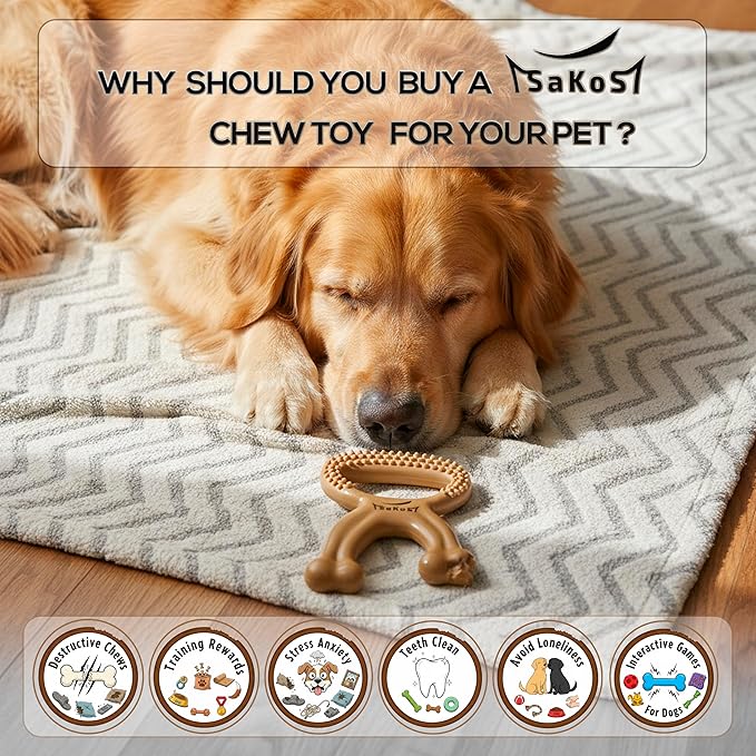 Chew Buddy – Durable Natural Rubber Dog Chew Toy for Medium & Large Dogs (30–110 lb) – Eco-Friendly, Teeth Cleaning, Tough Toy for Strong Chewers, for Dogs