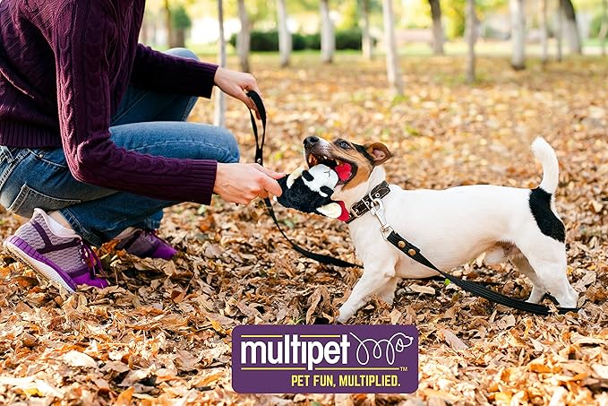 Multipet X-Small Mini Lamb Chop Black 6" | Small Lamb Chop Dog Toy | 6 Inch Small Dog Toy Lamb Chop Squeaker Toy | Officially Licensed (Black, 6")