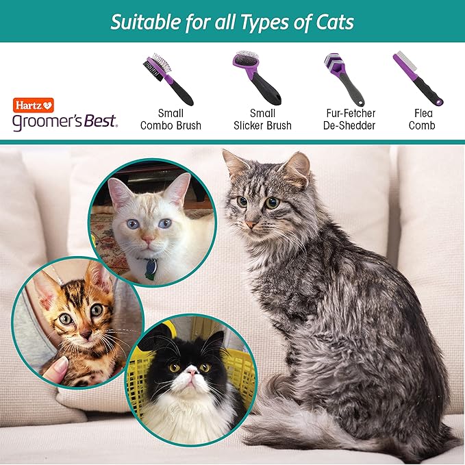 Hartz Groomer's Best Small Slicker Brush for Cats and Small Dogs, Black/Violet, 1 Count (Pack of 2)