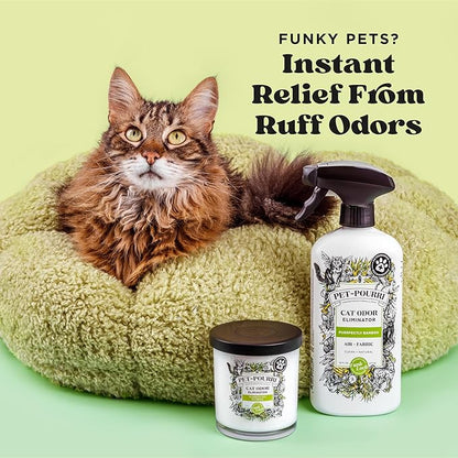 Pet-Pourri Air + Fabric Purrfectly Bamboo Cat & Home Deodorizer Spray, 16 Fl Oz, Up to 800 Uses, Pet Odor Remover with Essential Oils, for Air, Carpet, Urine, Vet Recommended, Bamboo, Jasmine & Pear