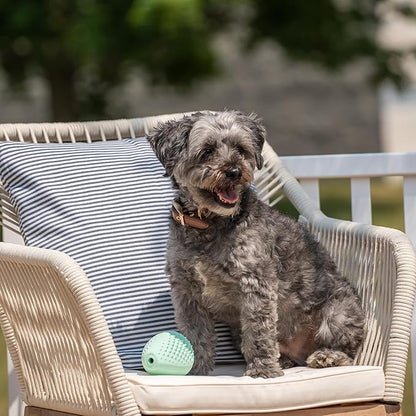 Chew King by Mammoth Dental Dog Toy Collection, Treater Clinically Proven to Remove Plaque