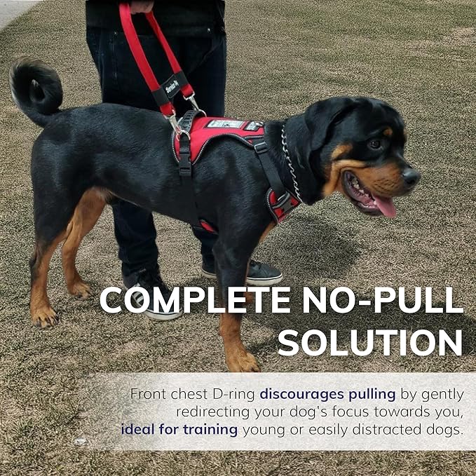 ActiveDogs No Pull Service Dog Harness - Adjustable, No Choke Medium/Large Service Dog Vest Harness - Includes Reflective Padding, Patch, Control Handle, ID Window. &D-Rings – Red, 24"-32" Girth