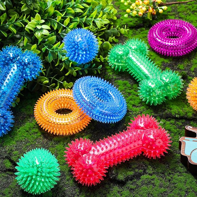 Yunsailing 9 Pcs Dog Squeaky Toys Set, Gift for Dog Squeaky Balls Donut Bone Shape Teething Toys for Small Medium TPR Rubber Pet Chew for Training Fetching Teething