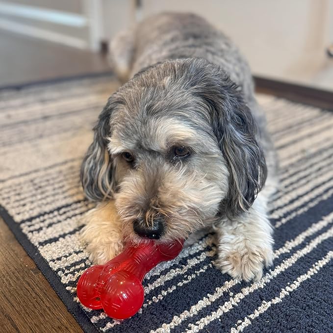 SPOT Play Strong Bone- Durable TPR Long Lasting Dog Chew for Aggressive Chewers, Hole for Treats, Virtually Indestructible Toy for Medium & Large Dogs & Puppies - 6.5 inch