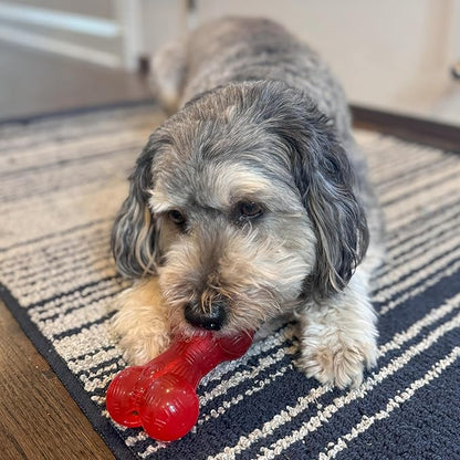 SPOT Play Strong Bone- Durable TPR Long Lasting Dog Chew for Aggressive Chewers, Hole for Treats, Virtually Indestructible Toy for Medium & Large Dogs & Puppies - 6.5 inch