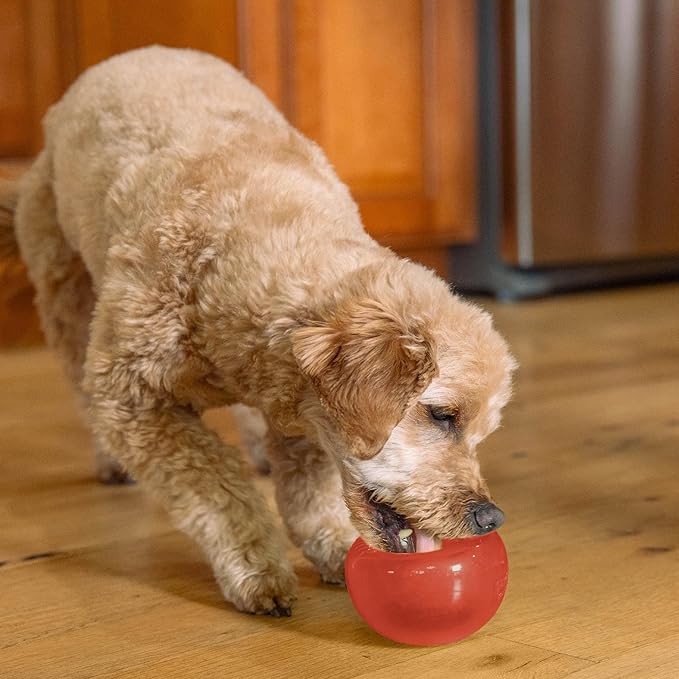Outward Hound by Planet Dog Lil' Snoop Dog Toy – Treat‑Dispenser Puzzle Ball, Interactive Slow Feeder, Small to Medium Dogs, Bouncy & Mint-Infused, Red, 3.9"