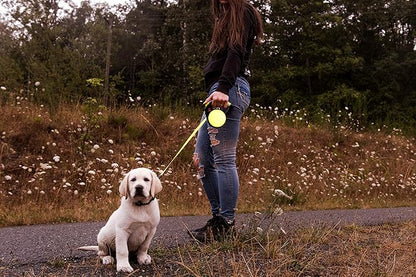Wigzi Reflective Gel Retractable Leash, Yellow, Large