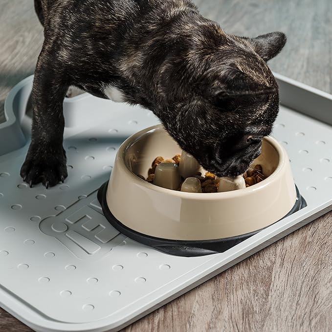 IRIS USA 2 Cups Slow Fedder Dog Bowl, Anti-Choking, Anti-Slip, Easy to Clean, Interactive Puzzle Toy, Healthy Digestion, Short snouted, Dogs Cats & Other Pets, BPA, PVC, Phthalate Free, Beige/Black