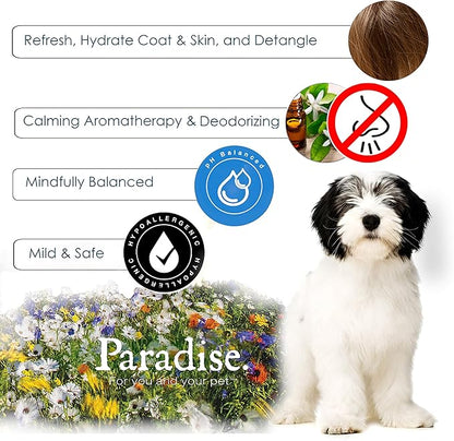 Best Shot Scentament Spa Botanical Body Splash, Detangler Spray, Body Spray for Pets, Cat and Dog Cologne Spray, Tropical Breeze, 8 Oz.