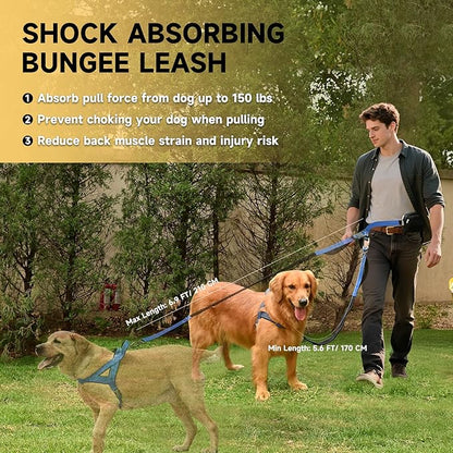 Hands Free Dog Leash with Zipper Pouch, Double Handle Running Reflective Bungee Waist Leash for Dog Walking, Training and Hiking for Small Medium Large Dogs (Blue)