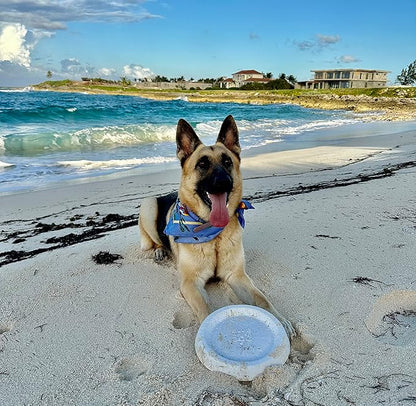 Frisbee, Floating, Waterproof, Lightweight, Durable Foam, Aerodynamic Disc for Medium and Large Dogs Puppy - Frisbee for Fetch, Catch, Play, 8.5” (White)