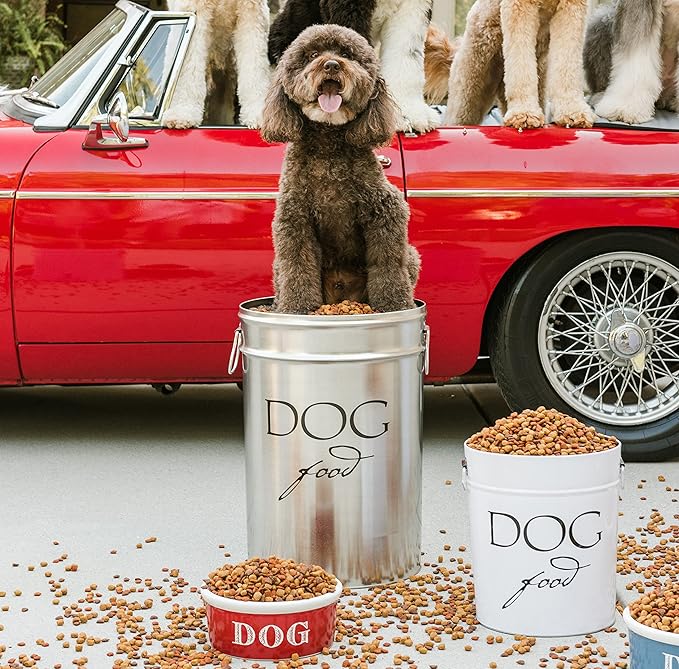 Harry Barker Classic Silver Dog Food Storage Canister – Large, Airtight Stainless Steel Pet Food Container, Holds Up to 40 lbs Dry Dog Food, Kitchen Counter & Pantry Storage - Silver