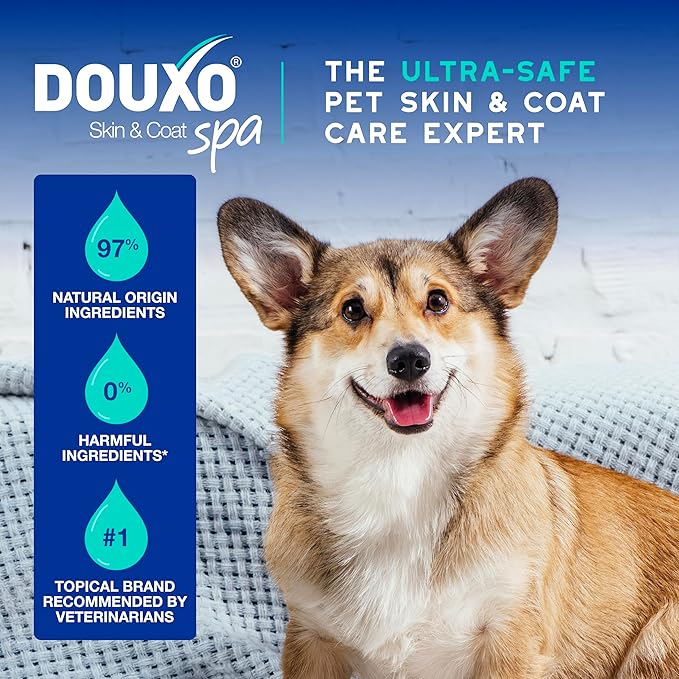 DOUXO® Skin & Coat SPA - Multi-Action Odor Control Spray for Dogs, 11.5 fl oz, Deodorizes, Neutralizes Unpleasant Odors, Leaves The Coat Fresh, Smelling Great, Skin-Friendly Ultra-Freshening Formula