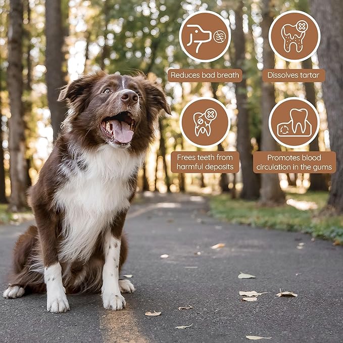 Wildfang® Olive Wood Chewing Sticks for Dogs, Medium - Tough Chew Toys for Aggressive Chewers, Puppy Chew Toys for Teething, Training for Chewing Muscles, Olive Wood Stick for Dog (33-55lbs)