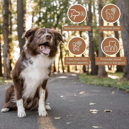 Wildfang® Olive Wood Chewing Sticks for Dogs, Medium - Tough Chew Toys for Aggressive Chewers, Puppy Chew Toys for Teething, Training for Chewing Muscles, Olive Wood Stick for Dog (33-55lbs)