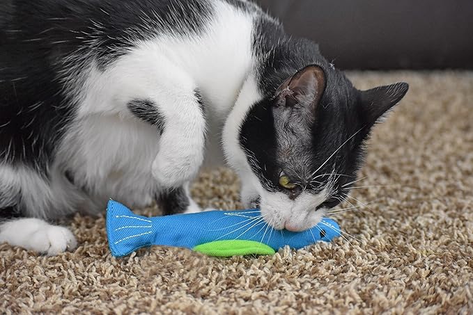 Our Pets 100-Percent North American Catnip Filled Fish Cat Toy (Interactive Cat Chew Toy), Annette (1050011546)