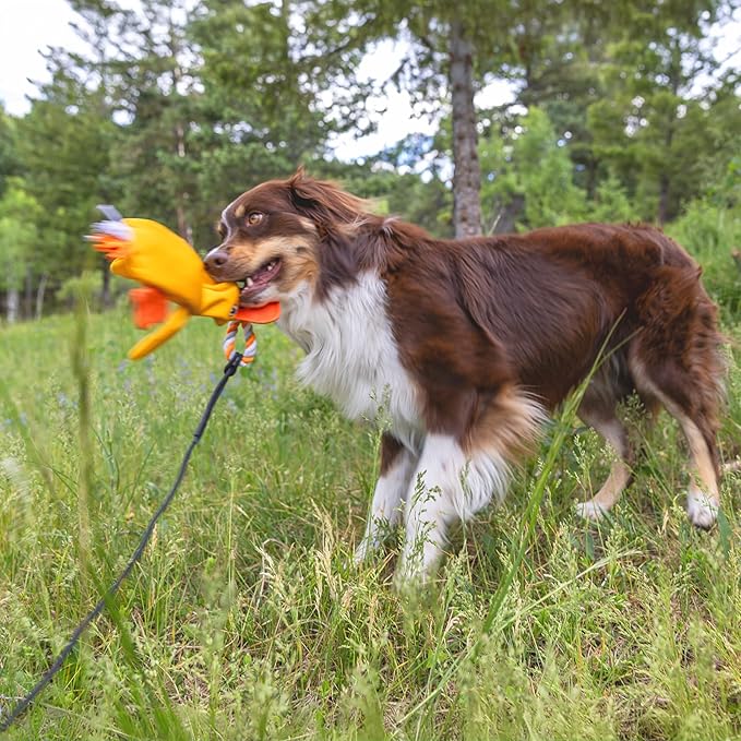 Flirt Pole Replacement Toy - Multi-Sensory Tough Tug Toy for Mighty StrongBite Flirt Pole for Dogs, Teaser Wand Attachment Lure (Duck)