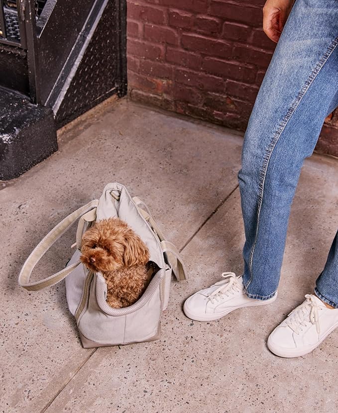 Cleverpup Transit Tote Dog Carrier for Small Dogs Under 8 lbs, 16x11x8 Soft-Sided 4-Pc Set with Waterproof Base, Plush Insert, Food Pouch, Mesh Head Opening - Small, Sand