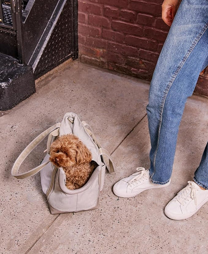 Cleverpup Transit Tote Dog Carrier for Small Dogs Under 8 lbs, 16x11x8 Soft-Sided 4-Pc Set with Waterproof Base, Plush Insert, Food Pouch, Mesh Head Opening - Small, Sand