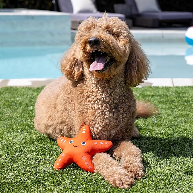 Fringe Studio Shelly Floating Dog Toys, Pet Shop Collection (640004)