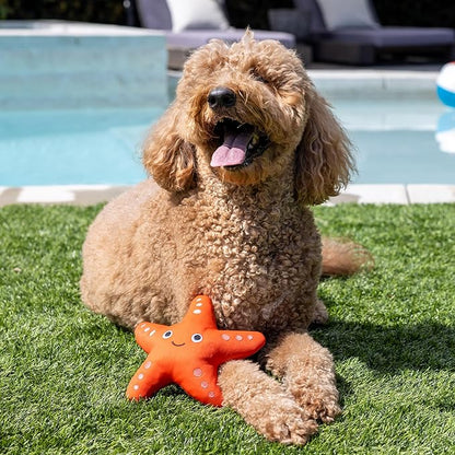 Fringe Studio Shelly Floating Dog Toys, Pet Shop Collection (640004)