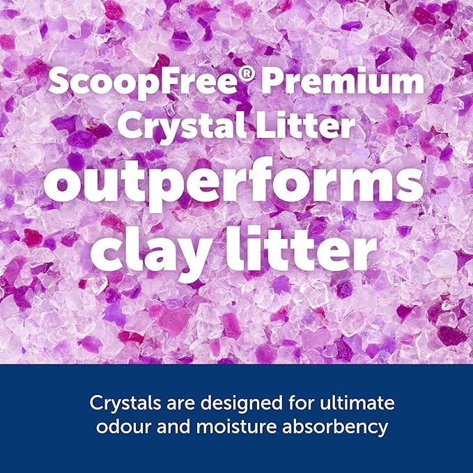 PetSafe ScoopFree Premium Crystal Cat Litter - Outperforms Clay Litter - Refill Packs - Reusable Tray Compatible - Lavender Scent - 4.3 lb Bags - 2 Pack